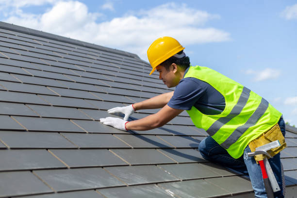 Best Roof Coating and Sealing  in Hillsdale, MI