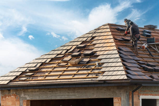 Best Solar Panel Roofing Installation  in Hillsdale, MI