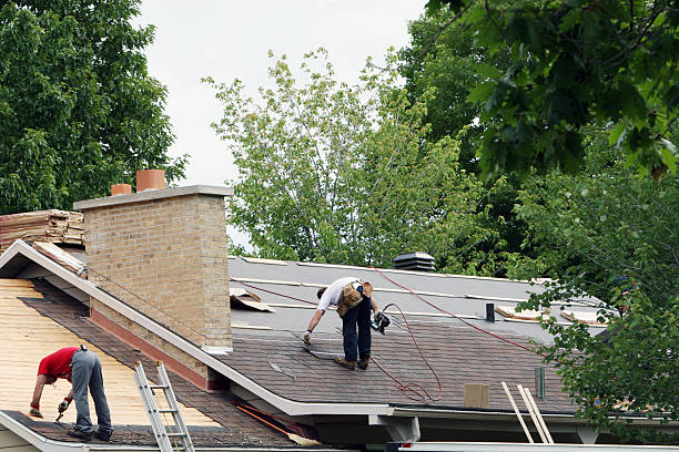 Best Storm Damage Roof Repair  in Hillsdale, MI