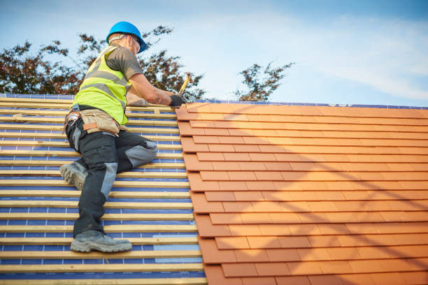 Best Roof Replacement  in Hillsdale, MI