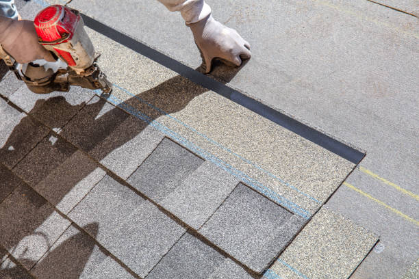 Best Rubber Roofing (EPDM, TPO)  in Hillsdale, MI