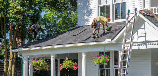 Best Roof Moss and Algae Removal  in Hillsdale, MI